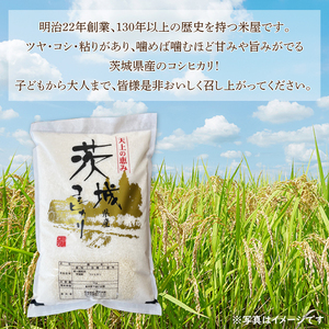 【10月以降順次発送】【令和8年産】茨城県産コシヒカリ 5kg 新米  (HQ-91)
