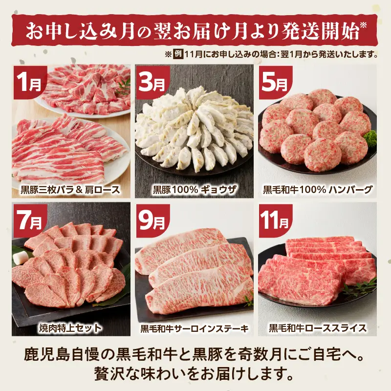 【全6回】「 肉のヨコムラ 」鹿児島県産 黒毛和牛 ・ 黒豚 定期便 （奇数月にお届け） K189-T01 肉 豚肉 牛肉 冷凍