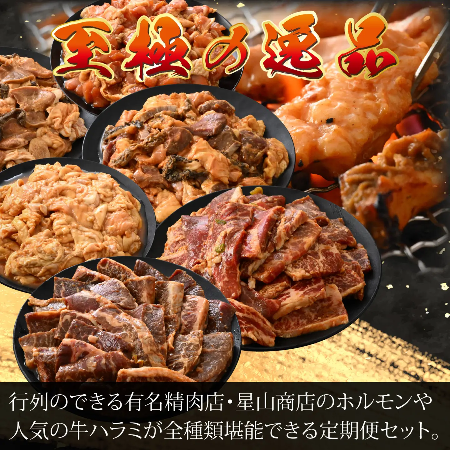 【6ヶ月定期便】星山ホルモン全種、若鶏、牛ハラミ、牛カルビセット | ホルモン 焼肉 BBQ