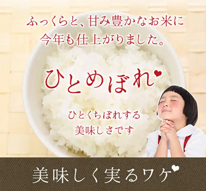 ひとめぼれ無洗米10kg(5kg x2個入れ） 【1815】