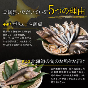 【2026年6月下旬発送】北海道 冷凍鮮魚セット 最大4.5kg 「漁師応援プロジェクト！」 下処理済み 4～5種 ホタテが必ず入る おまかせ セット 