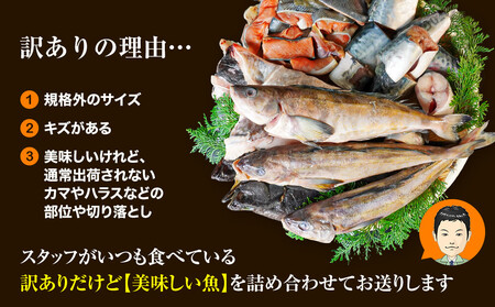 【2026年9月下旬発送】訳あり 北海道のおさかな屋さんの まかないセット 最大約4kg  魚 魚介 訳あり