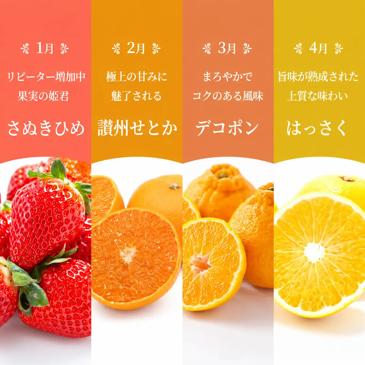 【百果繚乱】【定期便 12ヶ月】 果物定期便 果物定期便 フルーツ