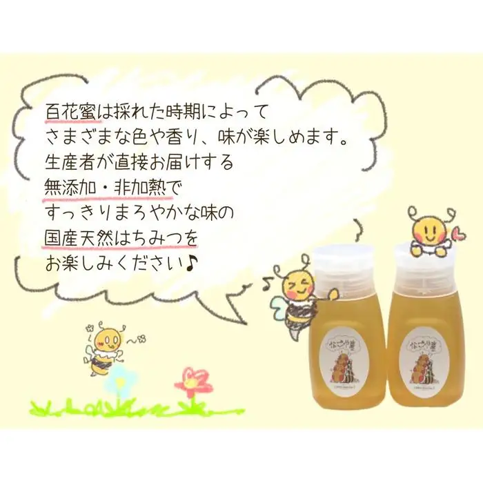 なごやの天然はちみつボトル300g×2本セット