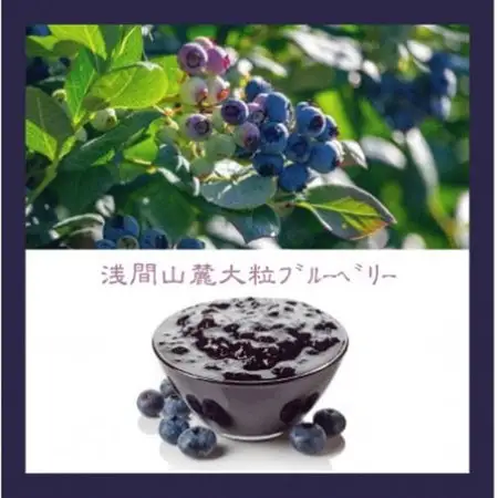 信州のバスクチーズケーキ【浅間山麓大粒ブルーベリー】_菓子・スイーツ ケーキ  _【配送不可地域：離島】【1455515】