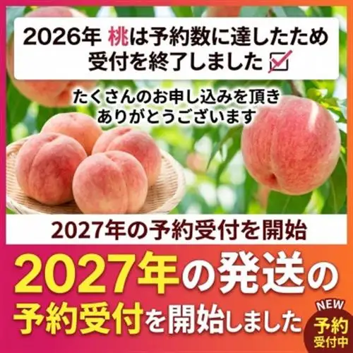【2027年発送　先行受付】【訳あり】桃5～9玉2kg以上【配送不可地域：離島】【1456742】