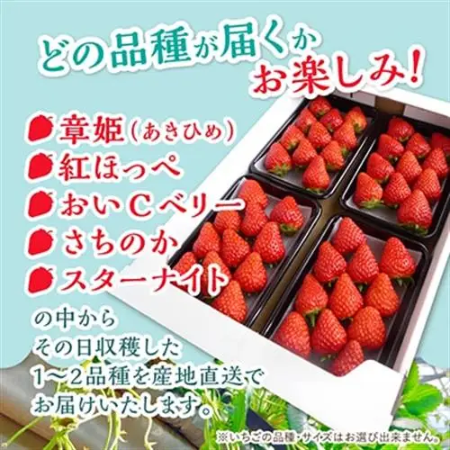 【2027年1月発送開始】【訳アリ】岡山県美作市産　いちご詰合せ(約270g×4パック)【配送不可地域：離島・北海道・沖縄県】【1073695】