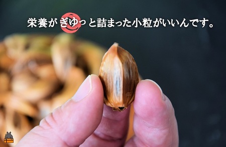 ～こだわりの小粒が魅力！～徳之島産黒ニンニク(100g) ( にんにく 健康食品 黒にんにく 自家栽培 徳之島 奄美 世界自然遺産 野菜 こだわり 完熟肥料 安心 安全 長寿 デコチャン農園 甘み フルーツのような美味しさ レターパック配送 ポストイン )