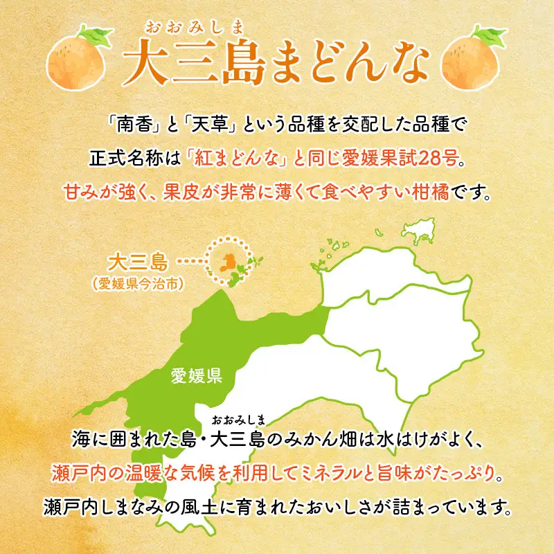 【先行予約】【数量限定】 ホリ田ヤ 大三島まどんな 2.5キロ