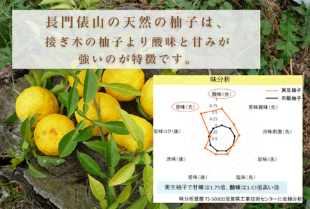 (12027)ゆずづくしセット 実生ゆず 柚子茶 柚子酢 ゆずネード 俵山 長門市