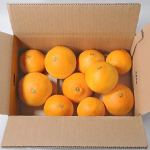 【先行予約】【訳あり】愛南マドンナ 5kg 紅まどんなと同品種 山口農園