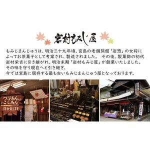 もみじ饅頭詰め合わせ30個入