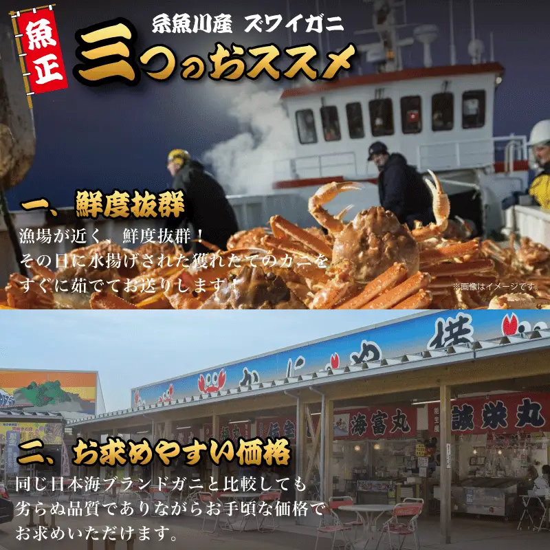 〈期間限定〉越後 本ズワイガニ 大 800g前後×2杯  姿 糸魚川産 浜茹で 鮮度が命！茹でたて直送 ギフトにも おススメ!! ずわいがに かに カニ 蟹 魚正 国産 日本海 新潟県 