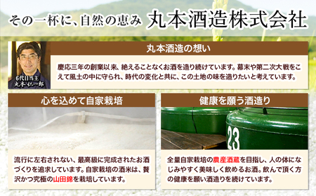 甘酒 詰め合わせ 300ml 6本  《30日以内に出荷予定(土日祝除く)》甘酒