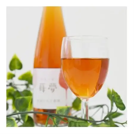 山元いちご農園 いちごワイン飲み比べセット_酒・アルコール  ワイン _【1378827】