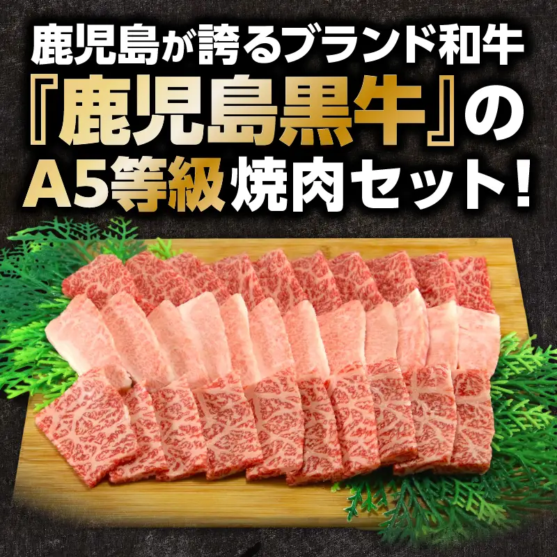 「 JA の お肉屋さん 」A5等級！鹿児島黒牛 焼肉セット（ 計900g ） K234-001 肉 牛肉 冷凍