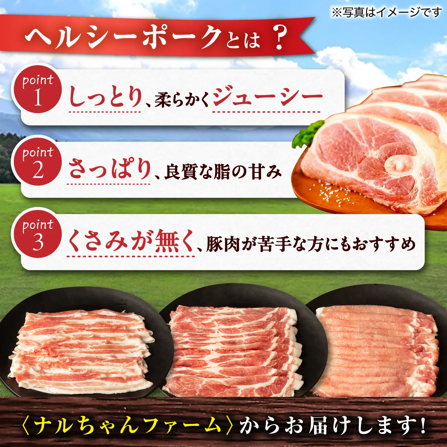 【12回定期便】ナルちゃんファーム豚肉食べ比べコース 総量12.9kg（豚肉しゃぶしゃぶ・スライス・焼肉・とんかつ・ハムセット）/ 豚肉 ロースハム ハム はむ ウインナー ういんなー フランク 豚ロース ロース ろーす 豚モモ モモ もも 豚バラ バラ ばら 焼肉 しゃぶしゃぶ スライス 小分け 豚肉定期便 / 大村市 / おおむら夢ファームシュシ[ACAA095]