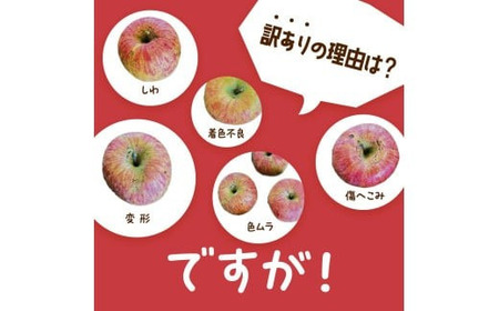 【令和8年産先行予約】 〈訳あり品 家庭用〉 りんご 「サンふじ」 約5kg バラ詰め 《令和8年12月上旬～令和9年2月下旬発送》 『カネタ高橋青果』 リンゴ 山形県 南陽市 [1958]
