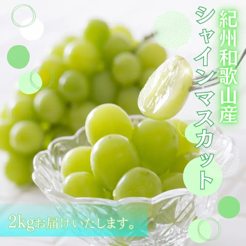 シャインマスカット 約2kg　紀州和歌山産【2026年8月下旬頃～2026年9月上旬頃に順次発送予定】【UT78】【Z91110-uot798】