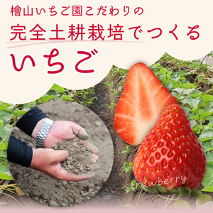 紅白いちご 食べ比べ いちご(2パック×1箱)