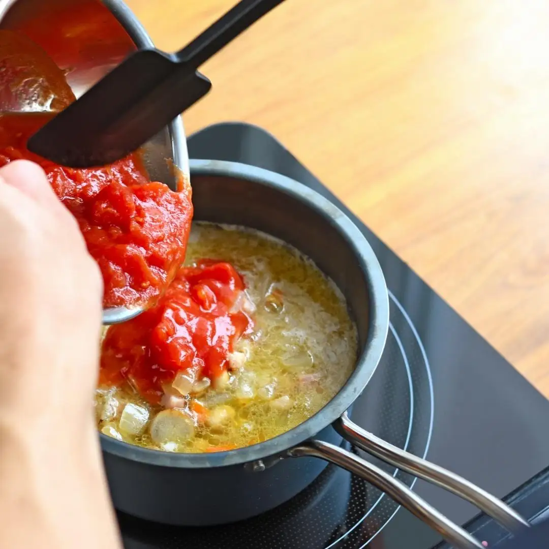 鉄鍋 TE2NABE ソースパン16cm 無水調理 燕三条製 鍋 [プリンス工業] 