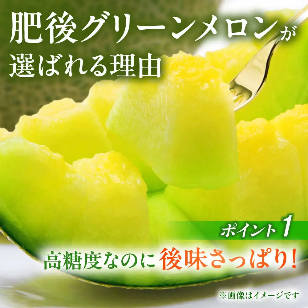 【先行予約】肥後グリーンメロン2玉熊本メロンめろんZCN003