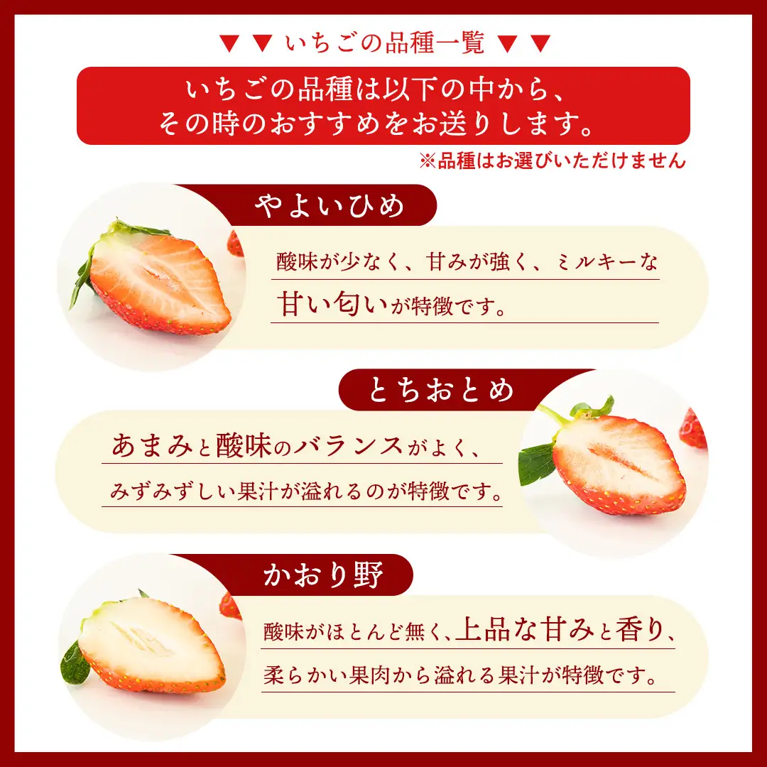 《 2027年 収穫分 》全2回 定期便 完熟 いちご 2パック × 2回 合計 4パック KEK 国産 かおり野 とちおとめ やよいひめ 国産 いちご イチゴ 苺 くだもの 果物 フルーツ 冬 春 旬 [BC073sa]
