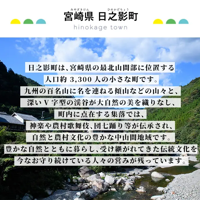 ≪返礼品なし・1,000円≫宮崎県日之影町への寄附【日之影町】【HN001】
