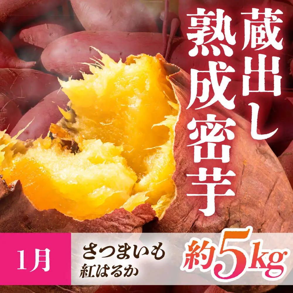 【先行予約】【3回定期便】 ほっこり幸せ！熊本・山鹿のあま〜い冬支度　熟成芋と旬のフルーツ [ZZZ001]   さつまいも みかん いちご