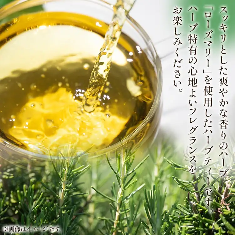 【ローズマリー】ハーブ 6パックセット【リラックス 茶葉 お茶 ハーブティー】 gr-0156
