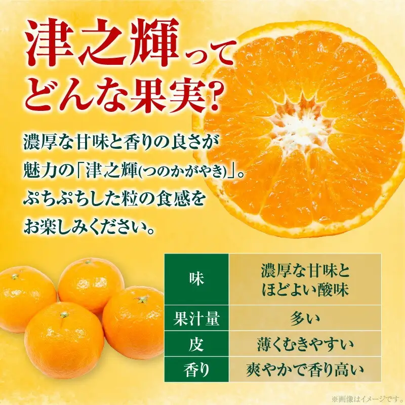 先行予約 訳あり みかん 津之輝 つのかがやき 10kg 希少 L ～ 4L サイズ不揃い フルーツ_DC57-26
