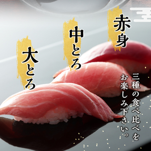 定期便 天然本まぐろ 6回隔月でお届け (b300-016)
