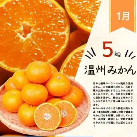 【発送月固定定期便】紀州和歌山産旬のフルーツセット(みかん・不知火・せとか)全3回【4005763】