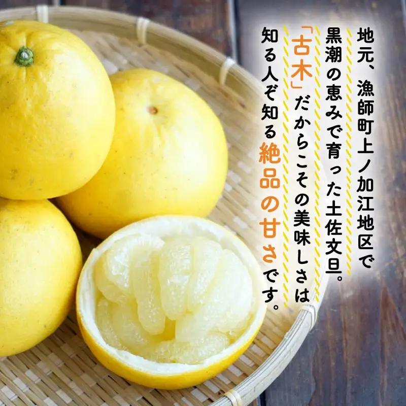 【先行予約】土佐文旦 5kg 3L-5L 文旦