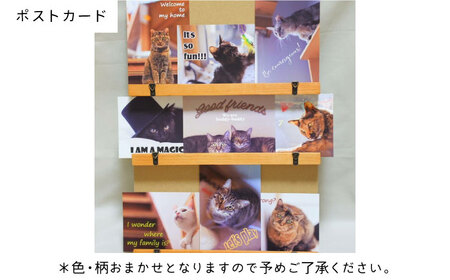 【保護猫応援!】グッズ3点セット ティッシュカバー・オリジナルポストカード・手作りアクリルたわし[AOBR009]