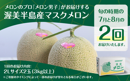 【定期便】先行予約 マスクメロン 2回定期便   2玉 2Lサイズ 伊良湖メロン男子