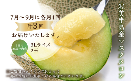 2027年【定期便】先行予約 マスクメロン 3回定期便 2玉 3Lサイズ   日研農園