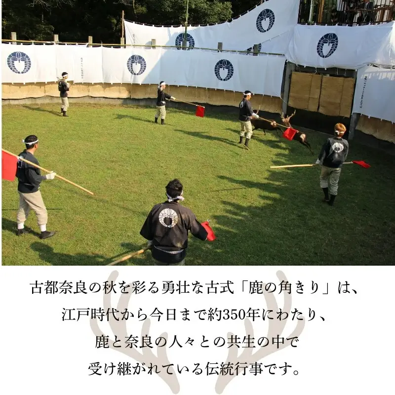 刀置き 「春日鹿角一双」 奈良の鹿 伝統工芸品 鹿角細工 職人 玄関 古風 奈良の鹿愛護会 贈り物 ［BD-02］