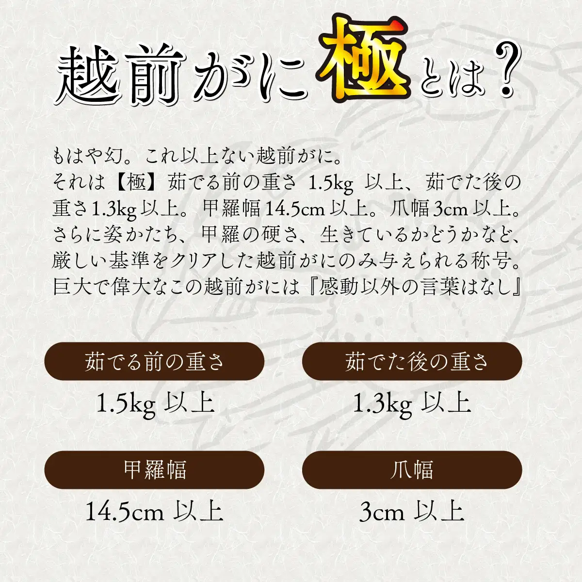 【先行予約】選べる！美味しさ直送【成前特選】越前がに 【極】 （1.3kg～1.5kg）１杯【11月～3月発送】 [W-028052] / ｽﾞﾜｲｶﾞﾆｽﾞﾜｲｶﾞﾆｽﾞﾜｲｶﾞﾆ