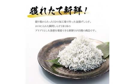 《3ヶ月定期便》高知県産釜揚げしらす500g 