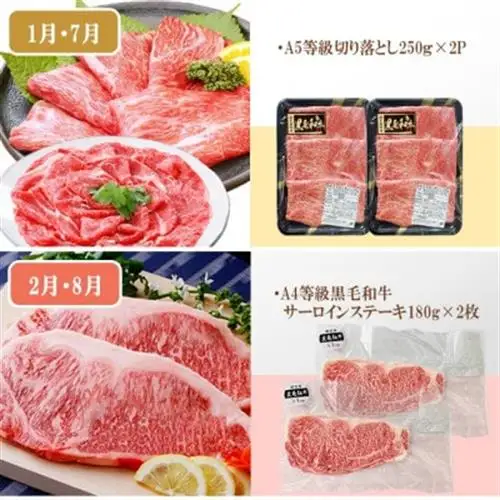 定期便(6回)A5・A4等級黒毛和牛・黒豚etc FF-0061_肉 牛肉 サーロイン ステーキ 焼肉 ハンバーグ 切り落とし 豚肉 生姜焼き ロース バラ しゃぶしゃぶ ホルモン ソーセージ 生ハム 人気 送料無料_【配送不可地域：離島】【1166779】