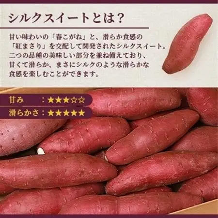 シルクスイート 〈4キロ〉サツマイモ さつまいも 人気品種 鹿児島県 A2-2_野菜 さつまいも いも サツマイモ 薩摩芋  野菜  いも イモ 芋_【配送不可地域：離島】【1167015】