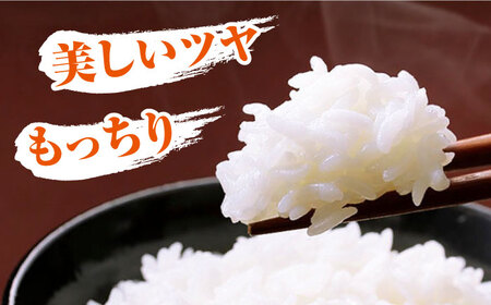 対馬産 佐護米 10kg 白米 米 お米 ご飯 ごはん 10kg 10キロ 未検査米  [WAX044]