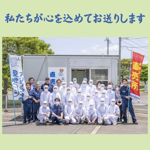 魚 旬(とき)づくし (干物 魚 セット アジ イカ サバ ブリ 鯛 しめさば)【B5-110】