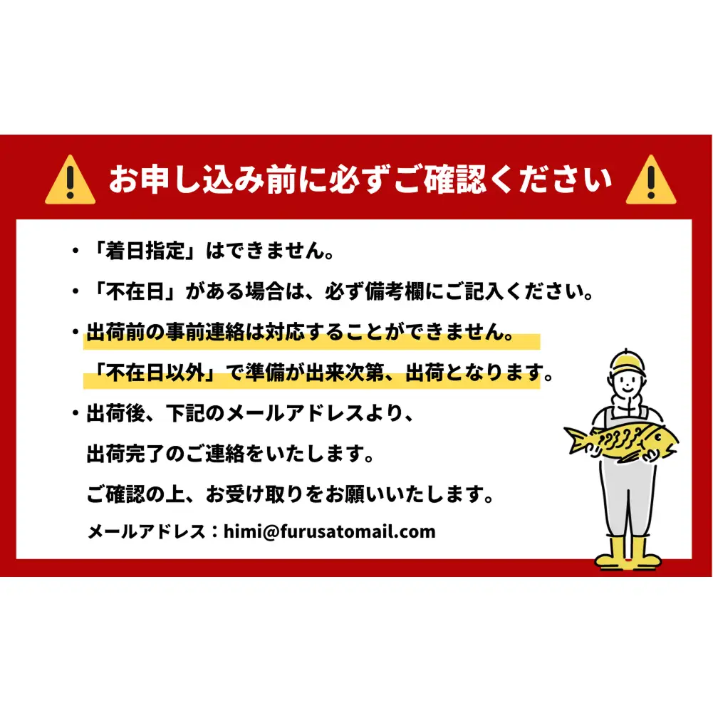 【先行予約】【期間限定】ひみ寒ぶり 刺身用（柵）800g  富山県 氷見市 刺身 柵 ブリ 鰤 寒ぶり