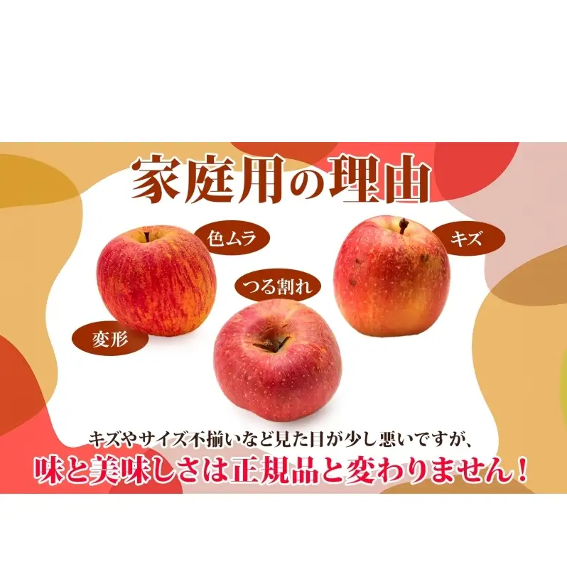 りんご詰合せ サンふじ王林 青森県産 家庭用 りんご詰合せ【約10kg】【12月発送】
