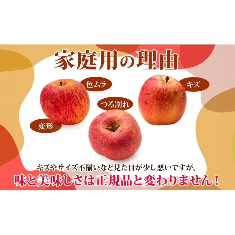 りんご詰合せ サンふじ王林 青森県産 家庭用 りんご詰合せ【約5kg】【12月発送】