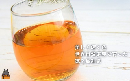 国産べにふうきの豊かな味わい。徳之島紅茶40g（ティーパック15g×16P） ( 国産 紅茶 ティー Tea 茶葉 ティーパック ミルクティー べにふうき お菓子 スイーツ 徳之島 奄美 鹿児島 美味しい 優雅 贅沢 安心 安全 )
