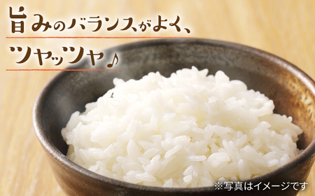 【数量限定】【 令和5年産 新米 】ヒノヒカリ約20kg ＜村山金定＞ [CFP005]