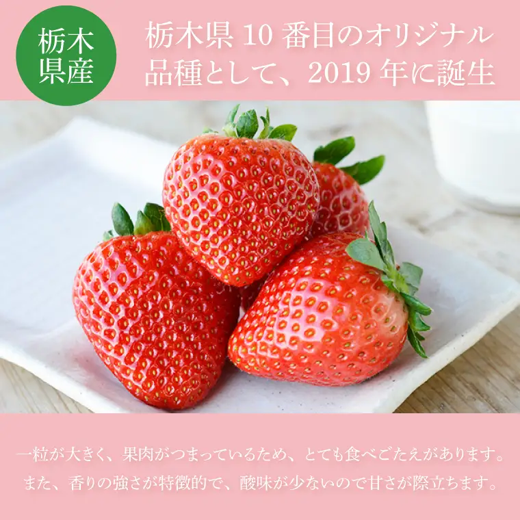 とちあいか いちご ★贈答用★ 600g 300g×2P DJ002